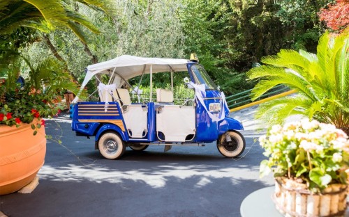 Warme Farben, bunte Blaetter