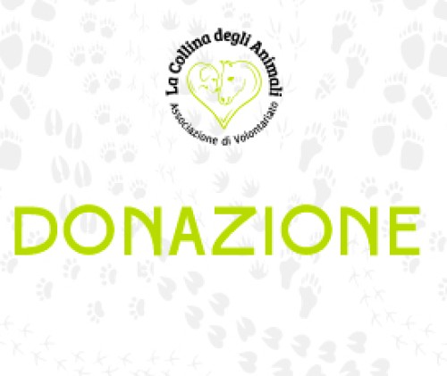 Donazione Associazione